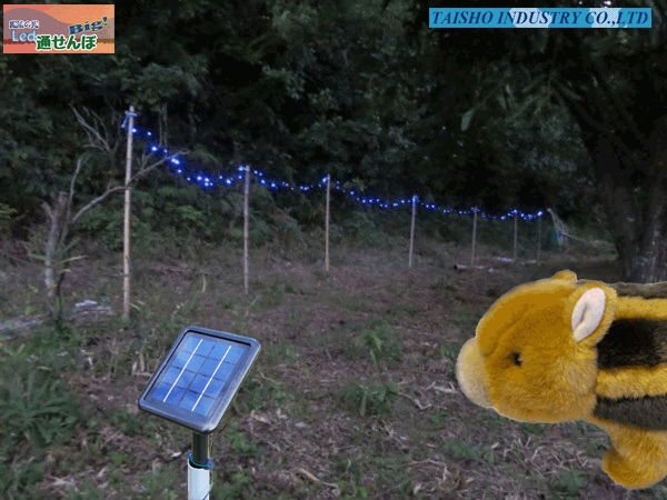 イノシシ通せんぼBIG　　