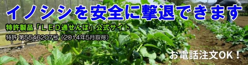 イノシシ対策室