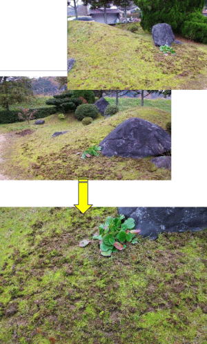 LED通せんぼ事例