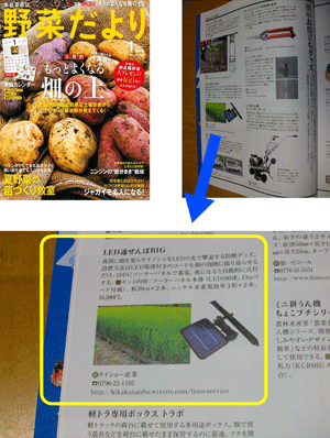 家庭菜園誌野菜だより1月新春号に掲載されました