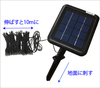イノシシ通せんぼ3